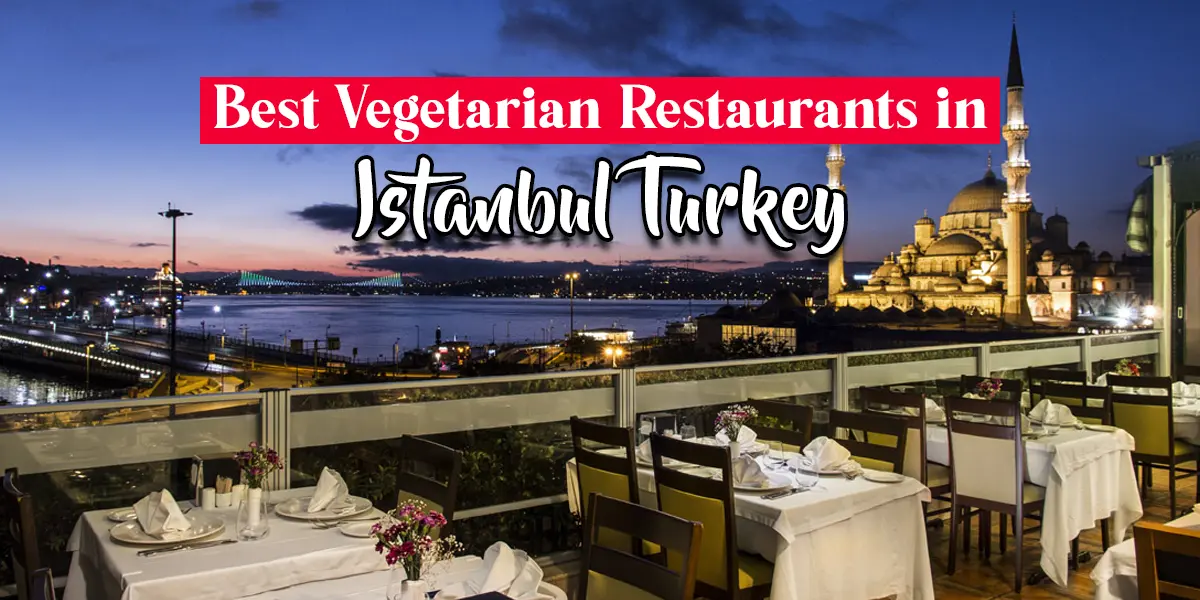 best vegetarian restaurants in istanbul turkey